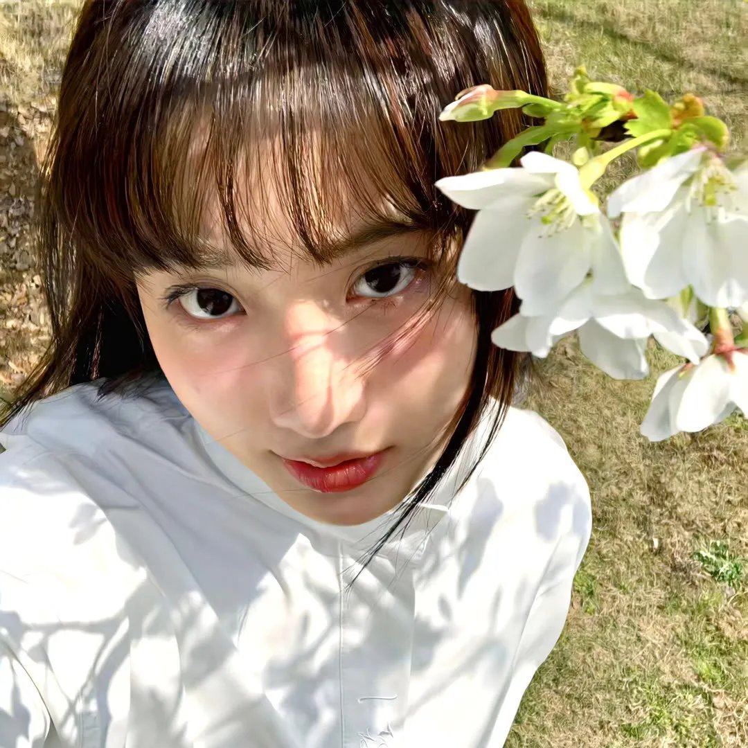 好莱坞医生